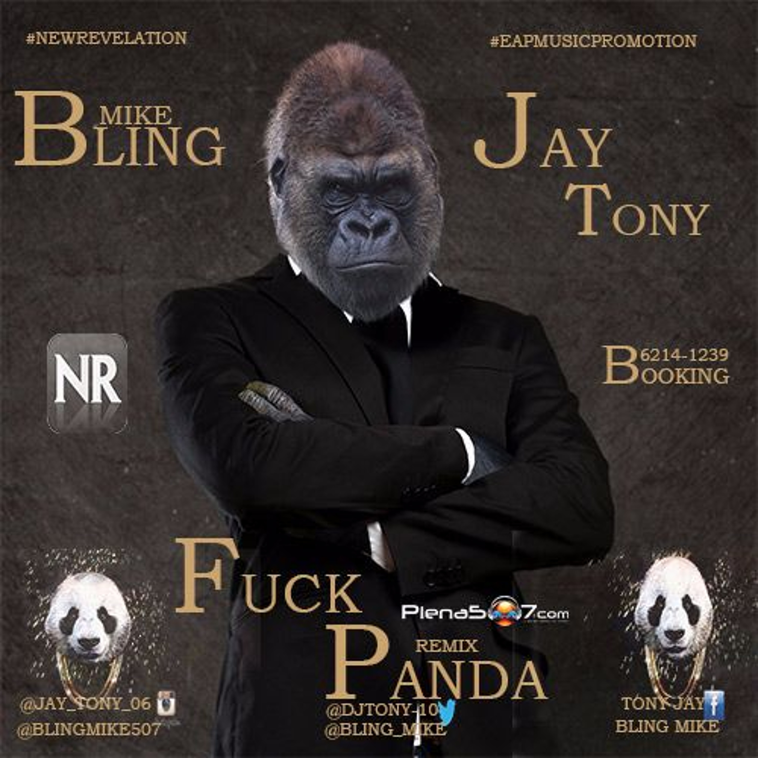 Jay Tony ft Bling Mike - Fuck Panda Remix episode artwork