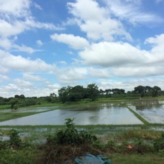 একী অপরূপ রূপে