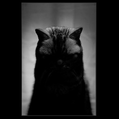 G-Ɛązy & Bębę Ręxhą vs. Jįmį Hęndrįx (Mę & Mysęlf Ąlŏng Thę Wątchtŏwęr) - Mąshṷp