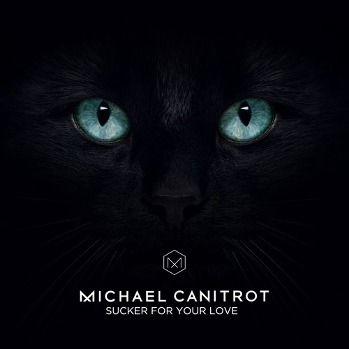 Michael Canitrot - Sucker For Your Love