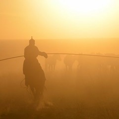 Б. Лхагвасүрэн - Боржигоны Бор Тал