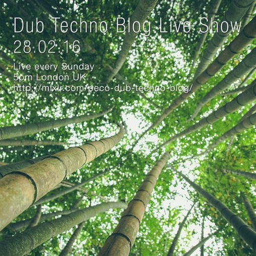 Dub Techno Blog Live Show 073 - 28.02.16