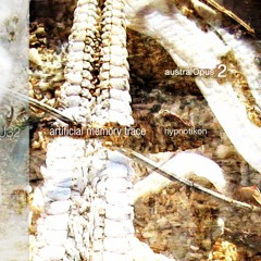U32 | artificial memory trace | hypnotikon_morf_excerpt