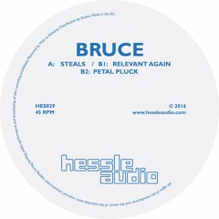 HES029 - Bruce