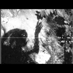 VSK - Drunk Arrow