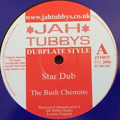 10'' The Bush Chemists - Star Dub
