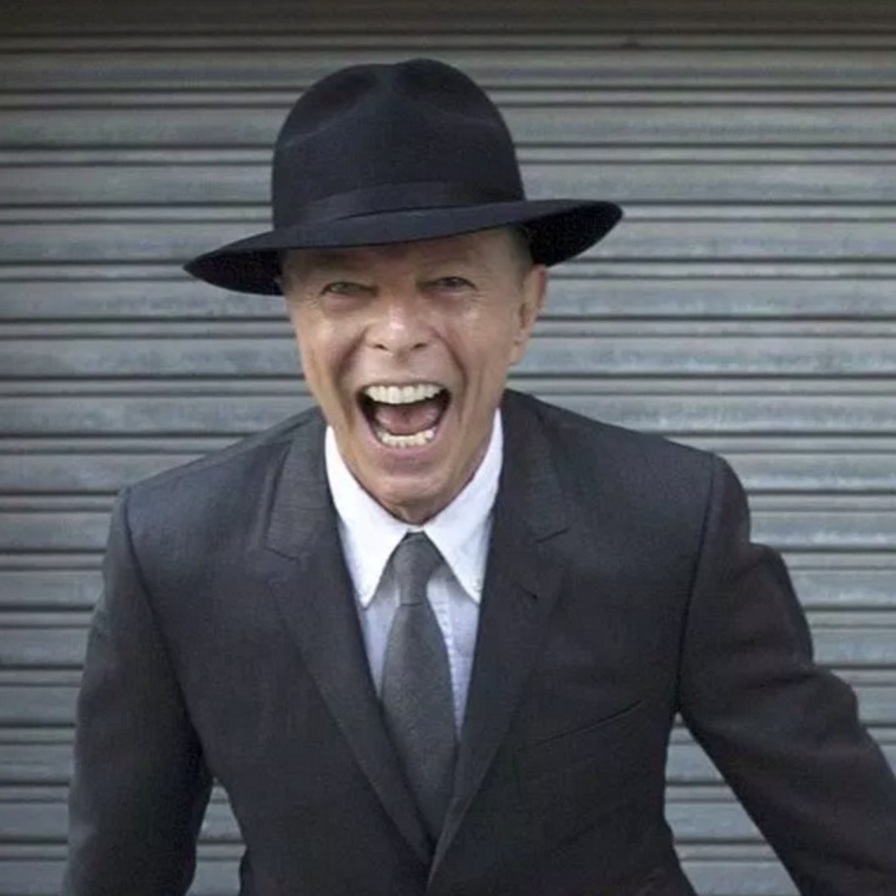WA loves David Bowie