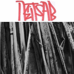 Black Forest (Macro Texture #003.2)