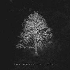 Orbit Culture - The Umbilical Cord