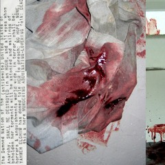 Selected Ambient Works '93 Til Infinity