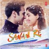 Sanam Re Instrumental Mp3