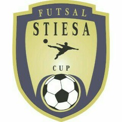 Matador Project - Everything (theme Song STIESA CUP XV)