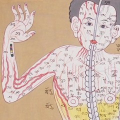 Meditation as Medicine? | Alejandro Chaoul | 16 Jan 2016