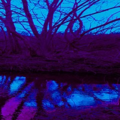 Agitation Φ/NumbersInTheDream/Sadkidstories - Witch The Evolution Head