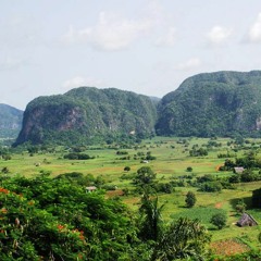 13 El Cafe De  Maria - Rosa Bonita