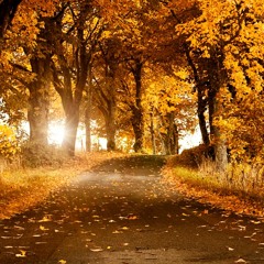 Berawal Dari Tatap - Yura (Alto Saxophone Cover)