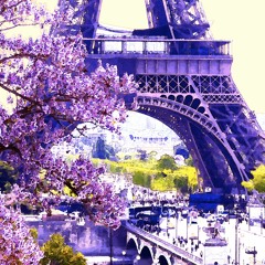 Papillons d'amour - Rudolf Würthner