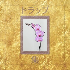 Orchid.Trap
