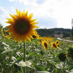 Doc Braitinger Vibo Valentia