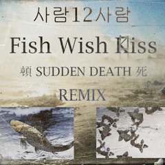 사람12사람 - Fish Wish Kiss ( Sudden death!  Remix )