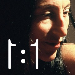 One-to-One #13 with Sylvia Lavin