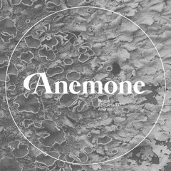 Nazca - Distam - Anemone Recordings