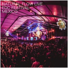 Natural Flow - Live at  EDC Festival