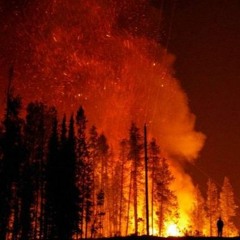 Wildfire