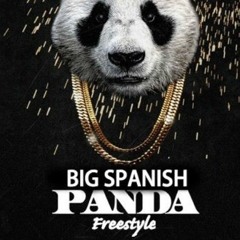 Big Spanish- Panda Freestyle