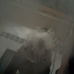 Cant Stop_whyz_ft_havok_BHS