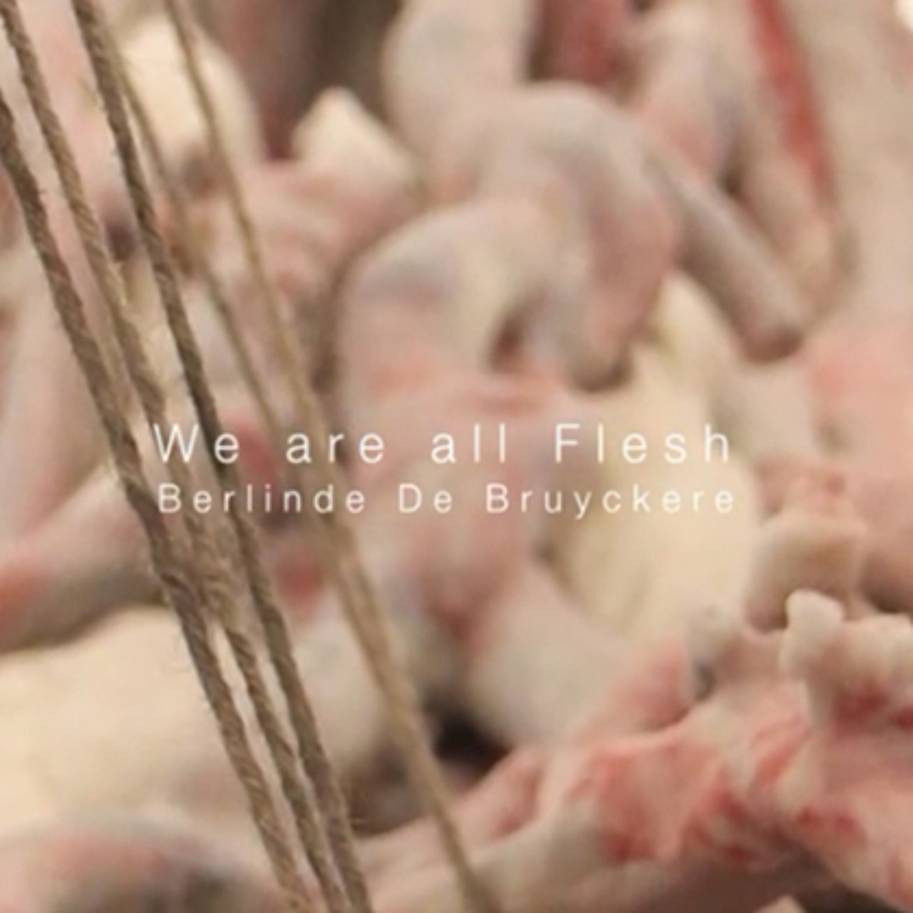 Forum: The Word Became Flesh episode artwork