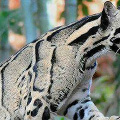 29 February @ Ben Rodrigues #portugalportal