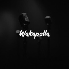 Waka Flocka - #Wakapella [Prod. by TR3Y  Gangg]