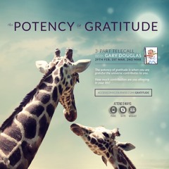 Using Gratitude to Create Beyond