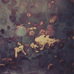 ｆｌｕ_