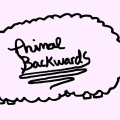 Animal Backwards - Television World