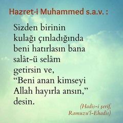 Beyaz Dilekçe - Mehmet Emin Ay