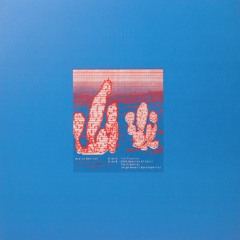 006 - Avalon Emerson: The Frontier / 2000 Species of Cacti / The Frontier (High Desert Synthapella)