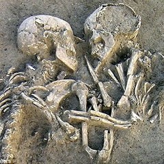 PODCAST 'Make Our Day!' - Humanity's Apparent Death Wish With Terence McKenna, Dr. Dennis McKenna