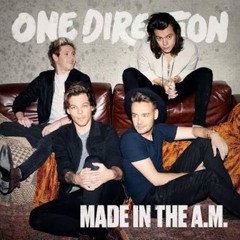 One Direction - Walking in the Wind [cover]