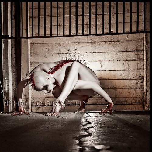 Funďo - Wild Beast[FREE DOWNLOAD]