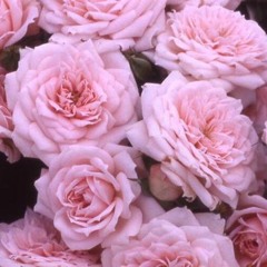 Explore / Where To Put