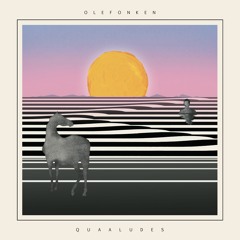 SNRKL001 Olefonken -  Quaaludes 12"