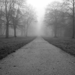 One Cold Brooklyn Night