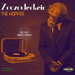Zouzoulectric - The Hopper (album Snippets)