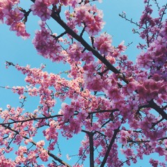 I Will Wait For You- Us The Duo (Cover)