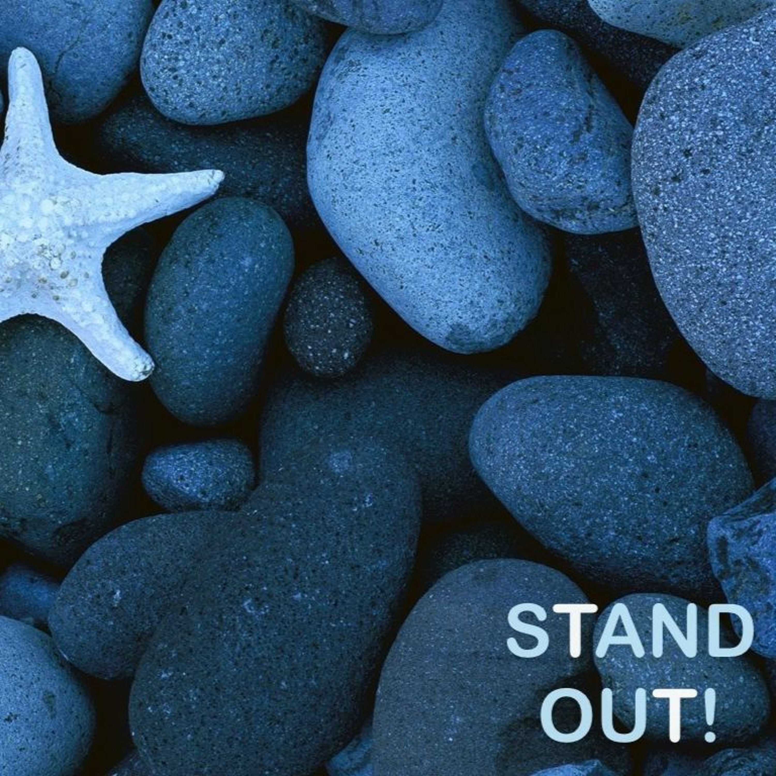 Stand Out - Part 4 episode artwork