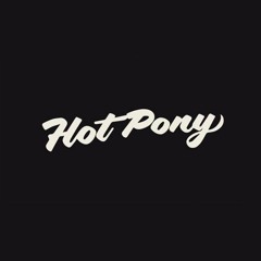 De Dupe - The Lost DJ Set @ Hot Pony, January 2016