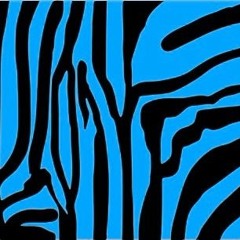 Slow Rhythm Of JAH (Instrumental)