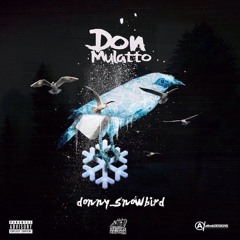 Don Mulatto - Why Not [Prod. By Maneo]